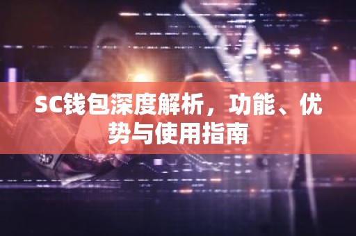 SC钱包深度解析，功能、优势与使用指南