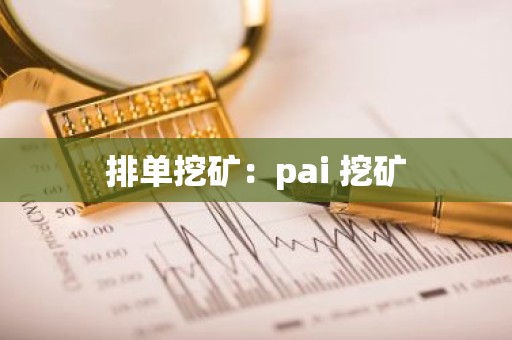 排单挖矿：pai 挖矿