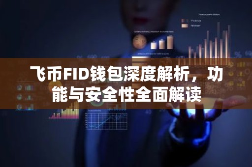 飞币FID钱包深度解析，功能与安全性全面解读