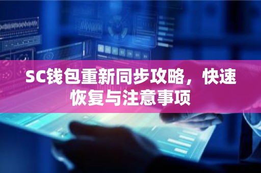 SC钱包重新同步攻略，快速恢复与注意事项