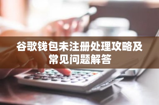 谷歌钱包未注册处理攻略及常见问题解答