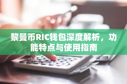 黎曼币RIC钱包深度解析，功能特点与使用指南