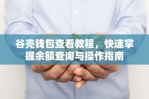 谷壳钱包查看教程，快速掌握余额查询与操作指南