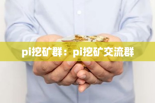 pi挖矿群：pi挖矿交流群