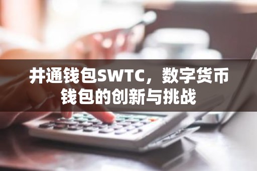 井通钱包SWTC，数字货币钱包的创新与挑战