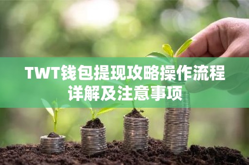 TWT钱包提现攻略操作流程详解及注意事项