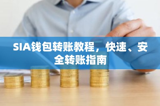 SIA钱包转账教程，快速、安全转账指南