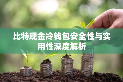 比特现金冷钱包安全性与实用性深度解析