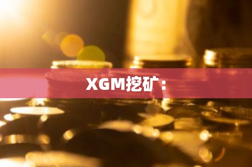 XGM挖矿：