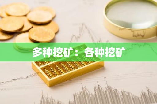多种挖矿：各种挖矿