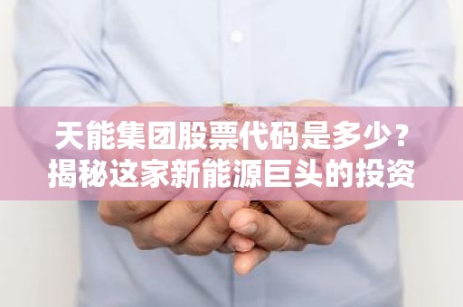 天能集团股票代码是多少？揭秘这家新能源巨头的投资机会