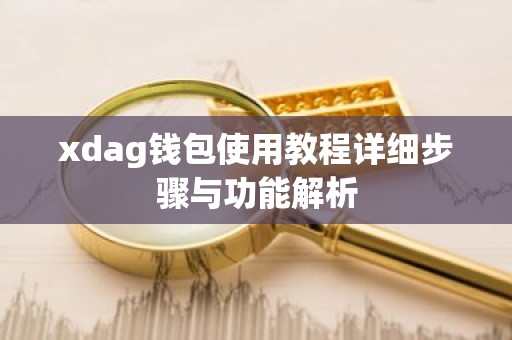 xdag钱包使用教程详细步骤与功能解析
