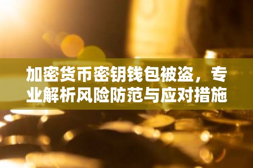 加密货币密钥钱包被盗，专业解析风险防范与应对措施