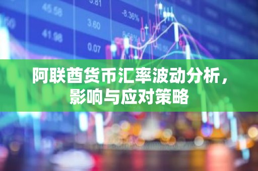 阿联酋货币汇率波动分析，影响与应对策略