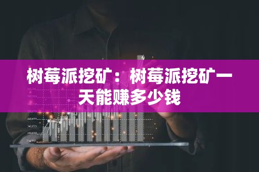 树莓派挖矿：树莓派挖矿一天能赚多少钱