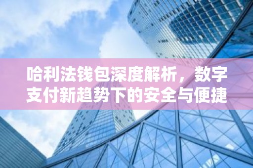 哈利法钱包深度解析，数字支付新趋势下的安全与便捷