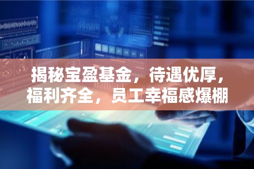揭秘宝盈基金，待遇优厚，福利齐全，员工幸福感爆棚！