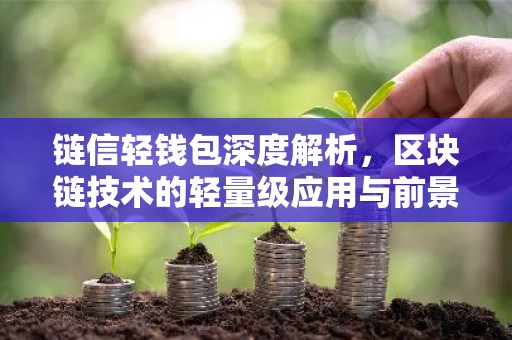链信轻钱包深度解析，区块链技术的轻量级应用与前景