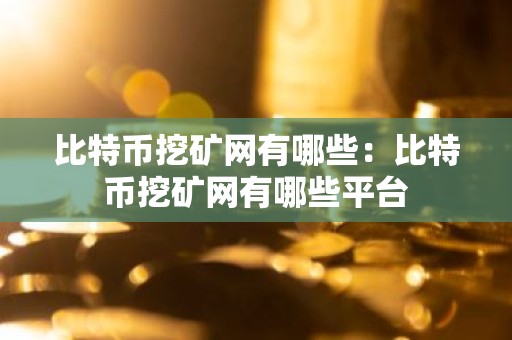 比特币挖矿网有哪些：比特币挖矿网有哪些平台