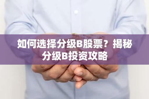 如何选择分级B股票？揭秘分级B投资攻略