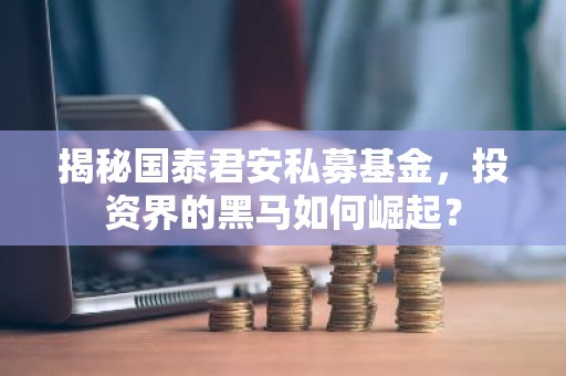 揭秘国泰君安私募基金，投资界的黑马如何崛起？