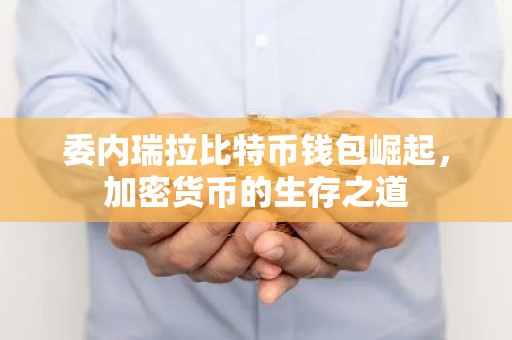 委内瑞拉比特币钱包崛起，加密货币的生存之道