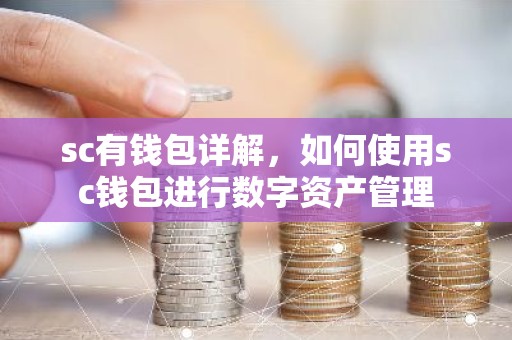 sc有钱包详解，如何使用sc钱包进行数字资产管理