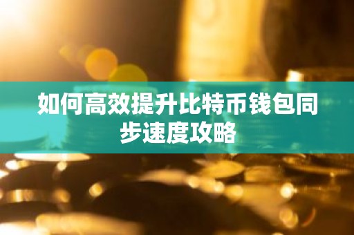 如何高效提升比特币钱包同步速度攻略