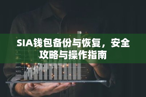 SIA钱包备份与恢复，安全攻略与操作指南