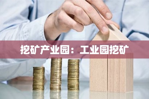挖矿产业园：工业园挖矿