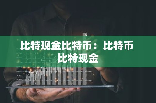 比特现金比特币：比特币 比特现金
