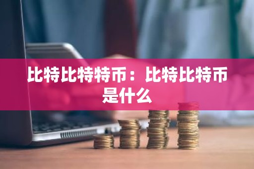 比特比特特币：比特比特币是什么