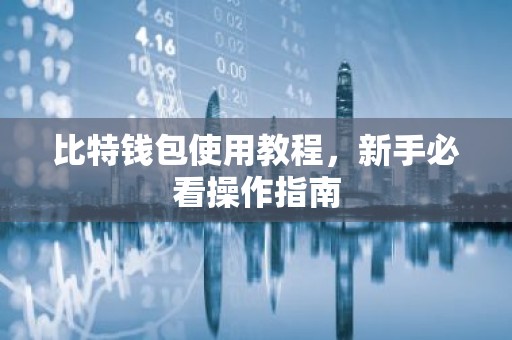 比特钱包使用教程，新手必看操作指南