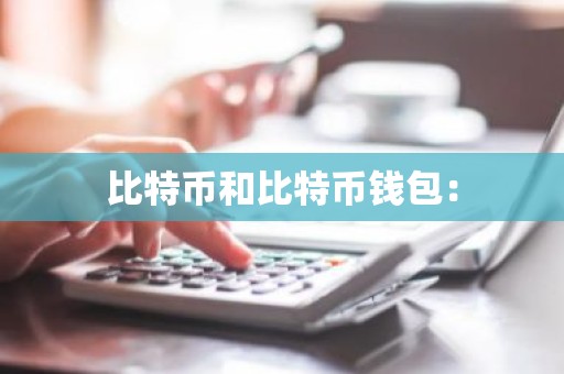 比特币和比特币钱包：