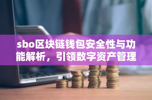 sbo区块链钱包安全性与功能解析，引领数字资产管理新潮流