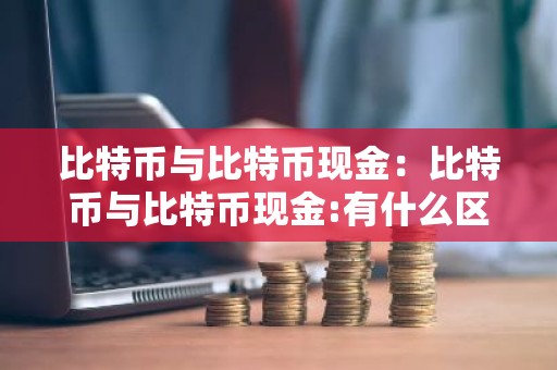 比特币与比特币现金：比特币与比特币现金:有什么区别?