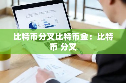 比特币分叉比特币金：比特币 分叉