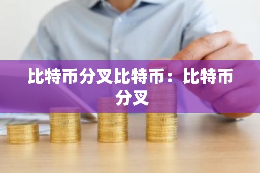 比特币分叉比特币：比特币 分叉