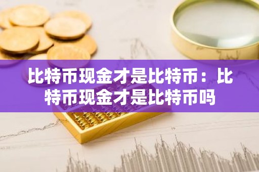 比特币现金才是比特币：比特币现金才是比特币吗