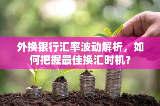 外换银行汇率波动解析，如何把握最佳换汇时机？