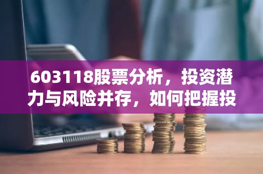 603118股票分析，投资潜力与风险并存，如何把握投资机会？