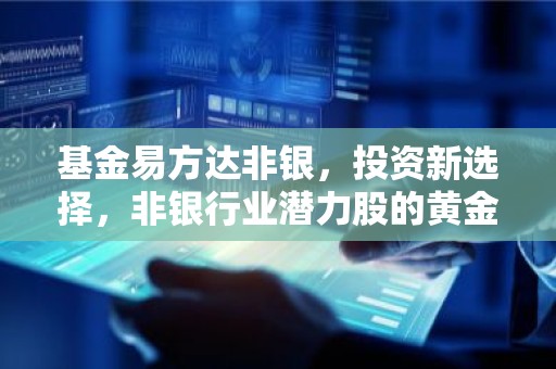 基金易方达非银，投资新选择，非银行业潜力股的黄金搭档