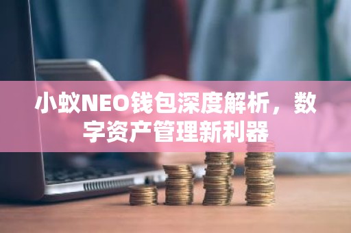小蚁NEO钱包深度解析，数字资产管理新利器