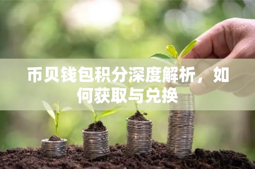 币贝钱包积分深度解析，如何获取与兑换