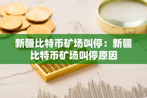 新疆比特币矿场叫停：新疆比特币矿场叫停原因