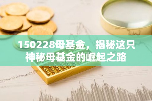 150228母基金，揭秘这只神秘母基金的崛起之路