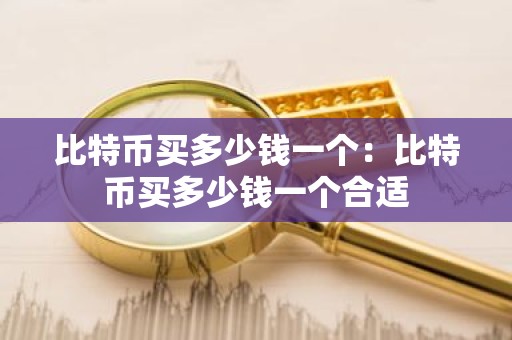 比特币买多少钱一个：比特币买多少钱一个合适