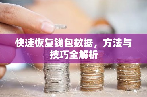 快速恢复钱包数据，方法与技巧全解析