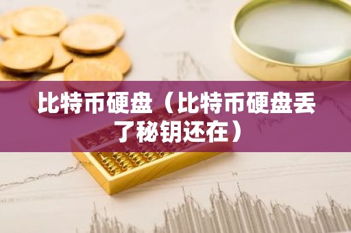 比特币硬盘（比特币硬盘丢了秘钥还在）