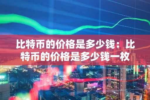比特币的价格是多少钱：比特币的价格是多少钱一枚
